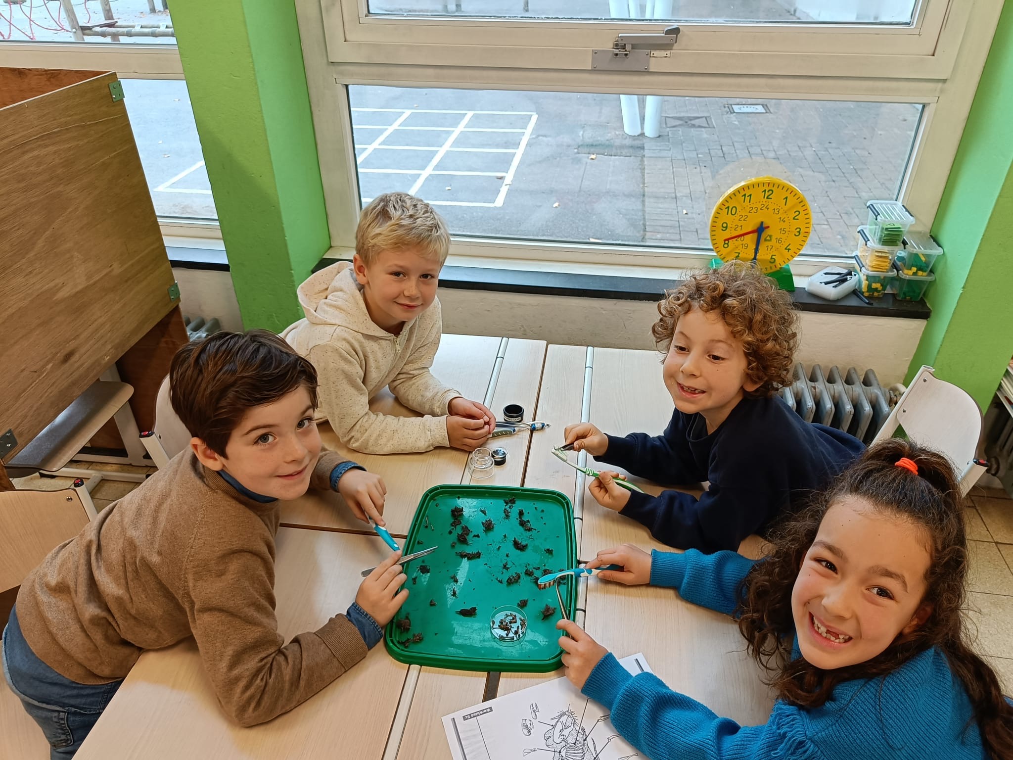 Braakballen van uilen_STEAM 2e lj